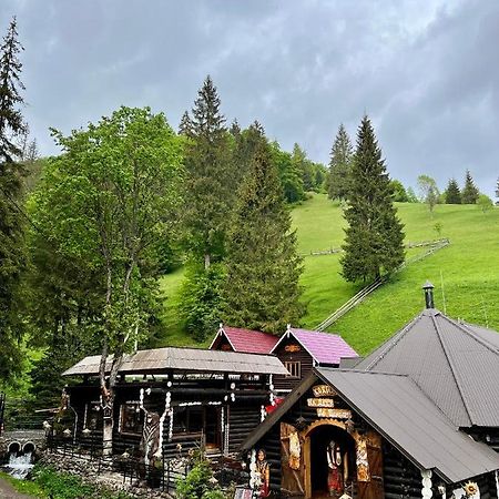 U Tsimborky Villa Synevyrsʼka Polyana Buitenkant foto