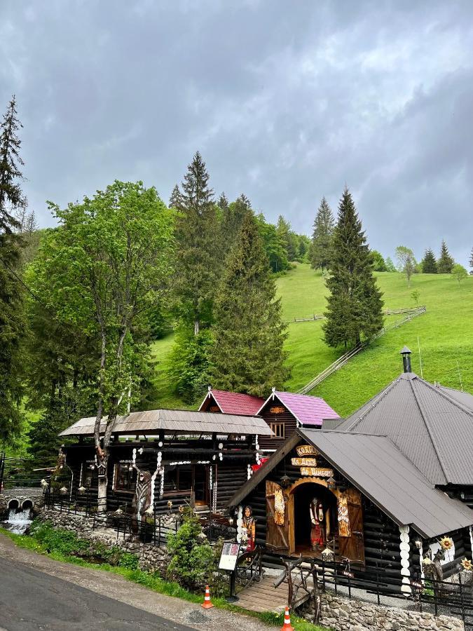 U Tsimborky Villa Synevyrsʼka Polyana Buitenkant foto