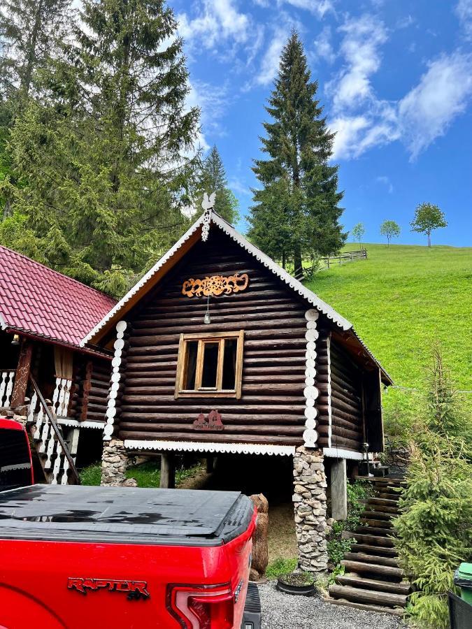 U Tsimborky Villa Synevyrsʼka Polyana Buitenkant foto