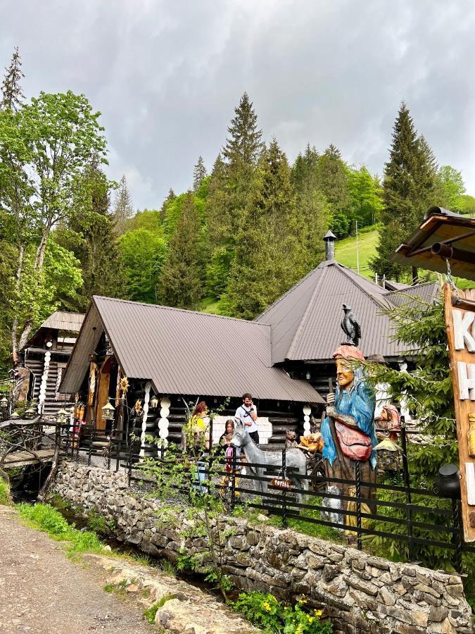 U Tsimborky Villa Synevyrsʼka Polyana Buitenkant foto