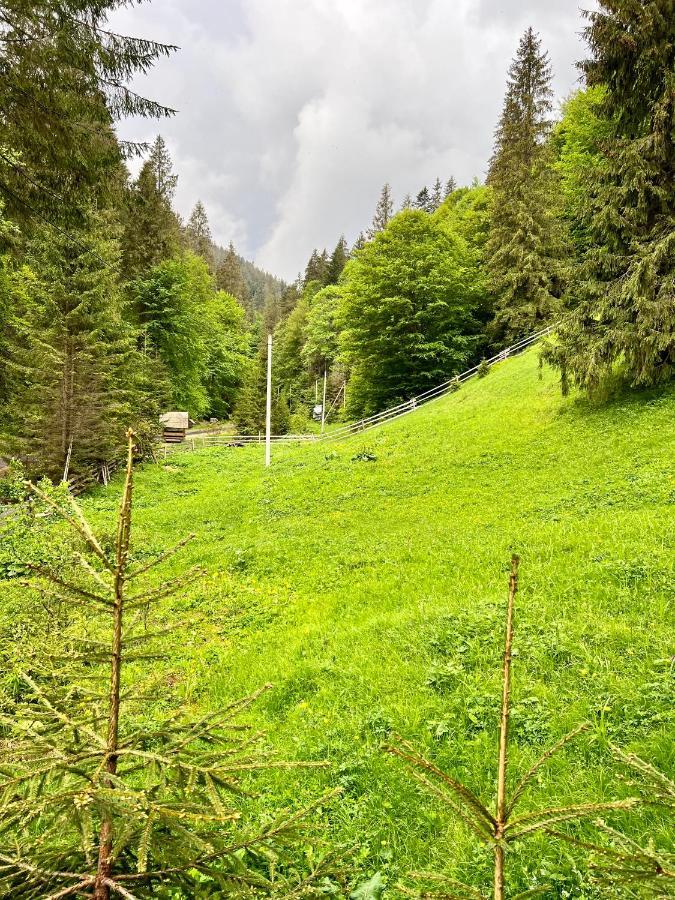 U Tsimborky Villa Synevyrsʼka Polyana Buitenkant foto